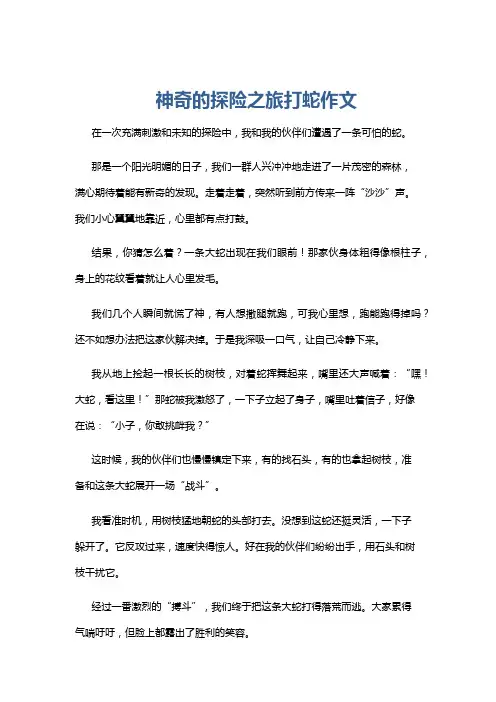 神奇的探险之旅打蛇作文