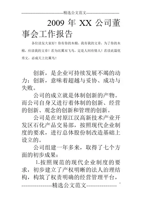 2009年XX公司董事会工作报告