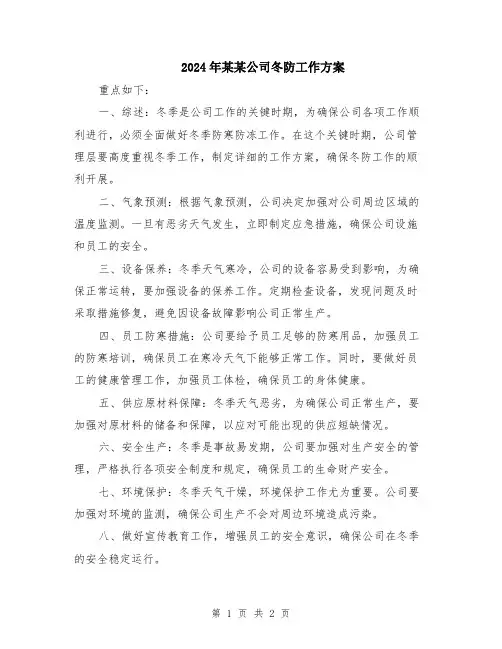 2024年某某公司冬防工作方案