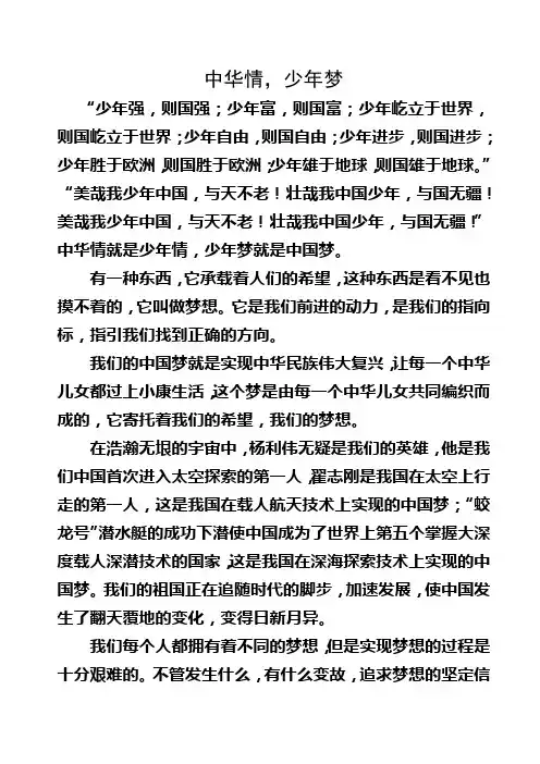 中华情,少年梦