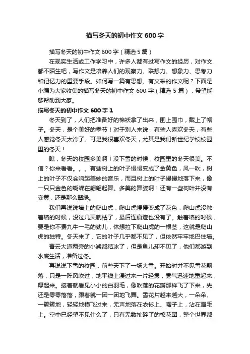 描写冬天的初中作文600字（精选5篇）