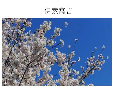 寓言故事寓意作文立意