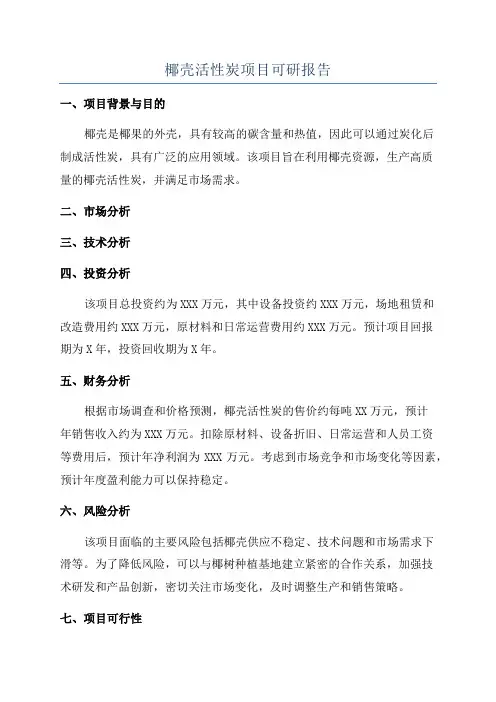 椰壳活性炭项目可研报告