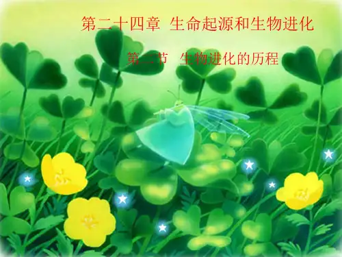 苏教版生物八上5.16.2 生物进化的历程  课件(共25张PPT)