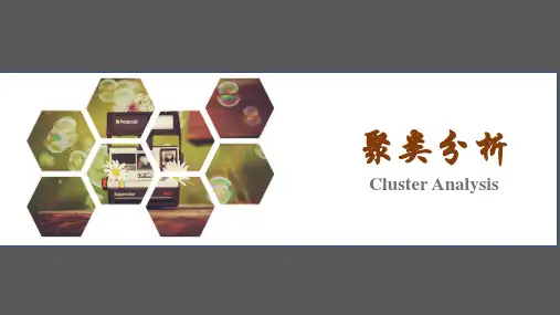 聚类分析PPT