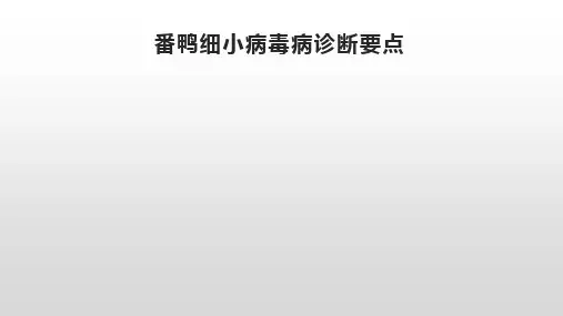 番鸭细小病毒病诊断要点