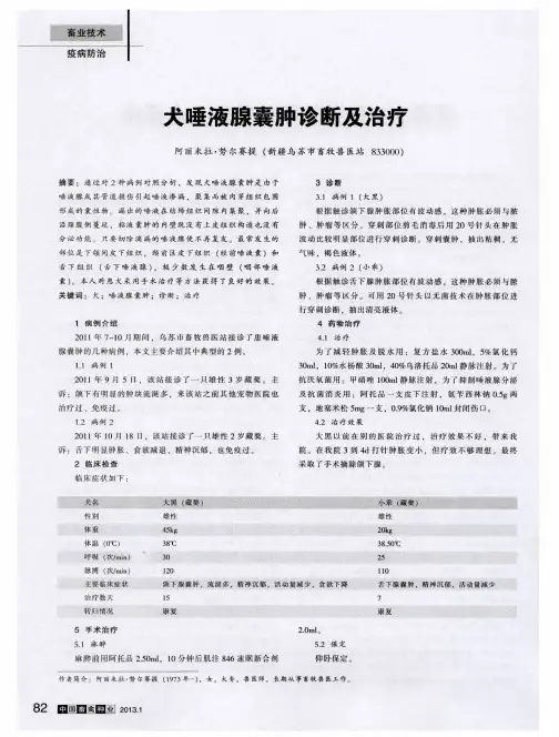 犬唾液腺囊肿诊断及治疗