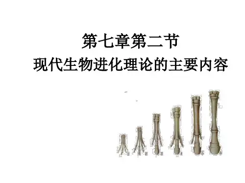 7.2现代生物进化理论的主要内容