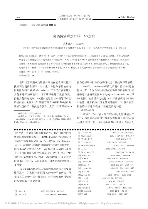 禽类抗病毒蛋白质_Mx蛋白