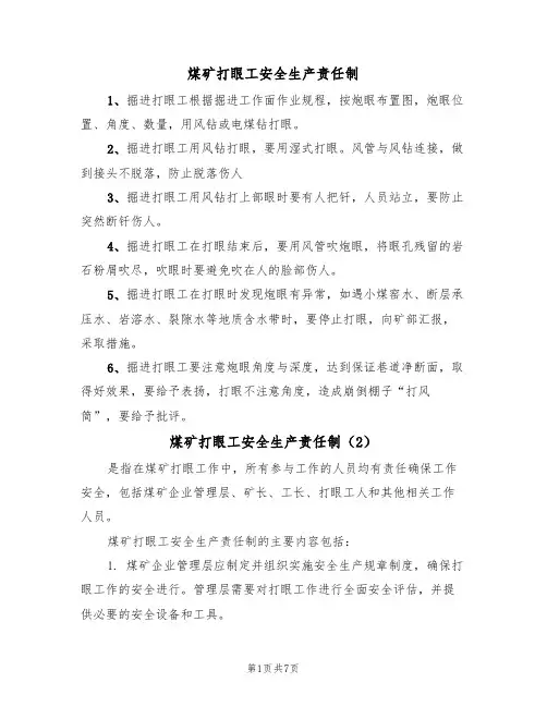 煤矿打眼工安全生产责任制（5篇）