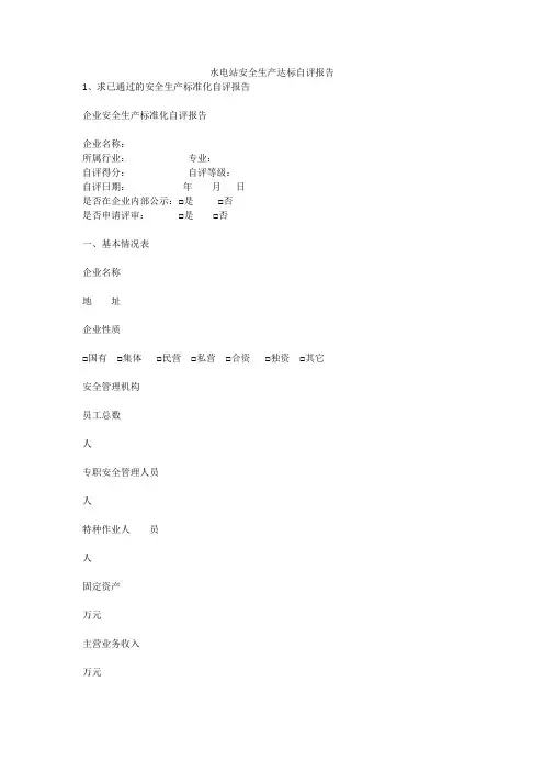 水电站安全生产达标自评报告安全生产