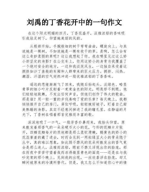刘禹的丁香花开中的一句作文