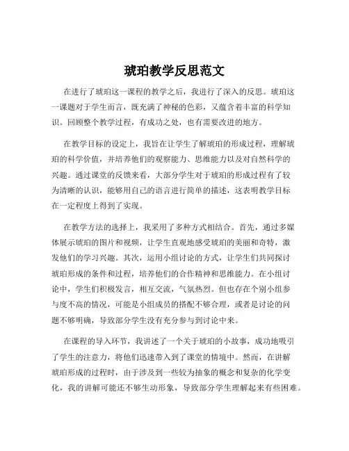 琥珀教学反思范文