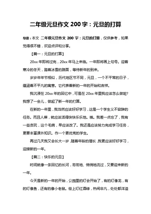 二年级元旦作文200字：元旦的打算