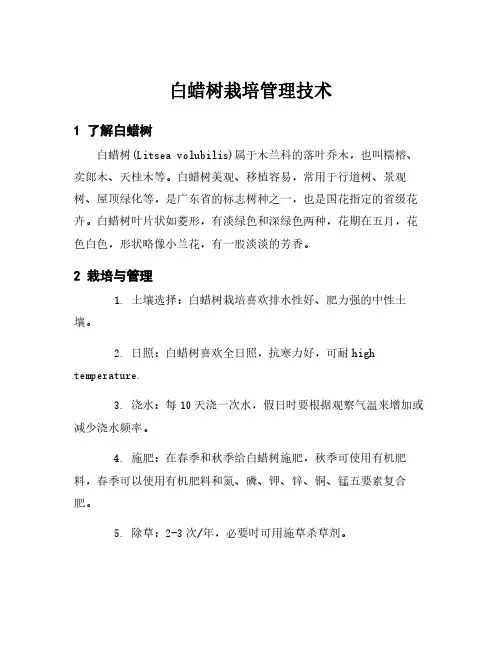 白蜡树栽培管理技术