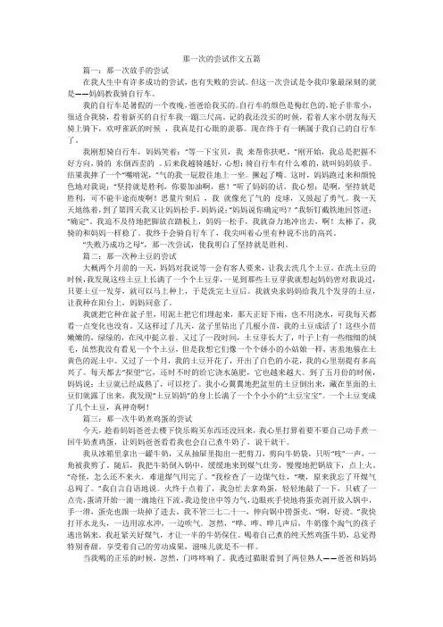 那一次的尝试作文五篇