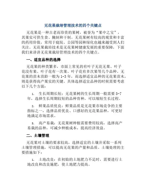 无花果栽培管理技术的四个关键点