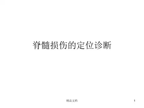 脊髓损伤的定位诊断