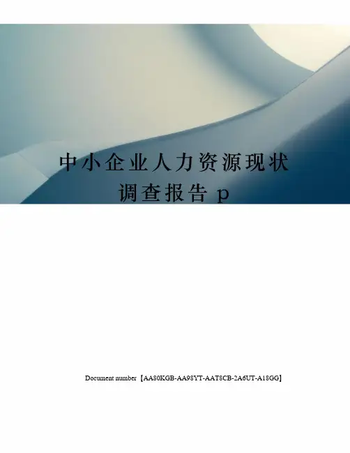 中小企业人力资源现状调查报告p修订稿