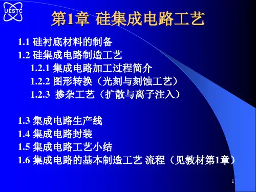 集成电路基本制造工艺