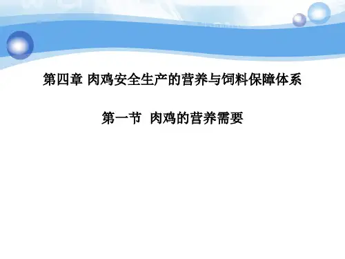 肉鸡的饲养标准