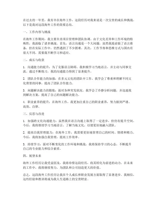 个人海外工作总结简短