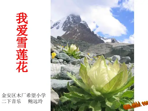我爱雪莲花.ppt