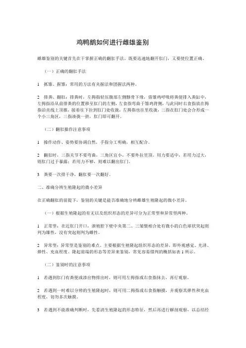 鸡鸭鹅如何进行雌雄鉴别