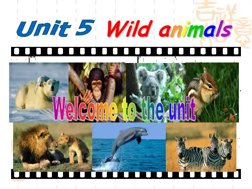 牛津译林版八年级上册Unit 5《Wild animals》(Welcome to the unit)课件