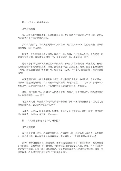 文明从我做起作文800范文