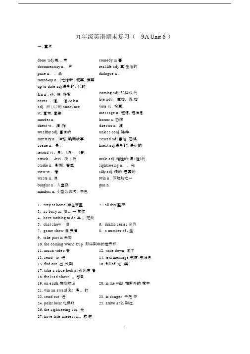 牛津译林版9AUnit6英语期末复习.docx