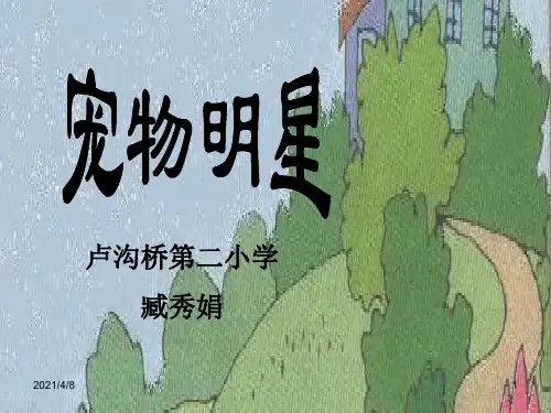 宠物明星-()