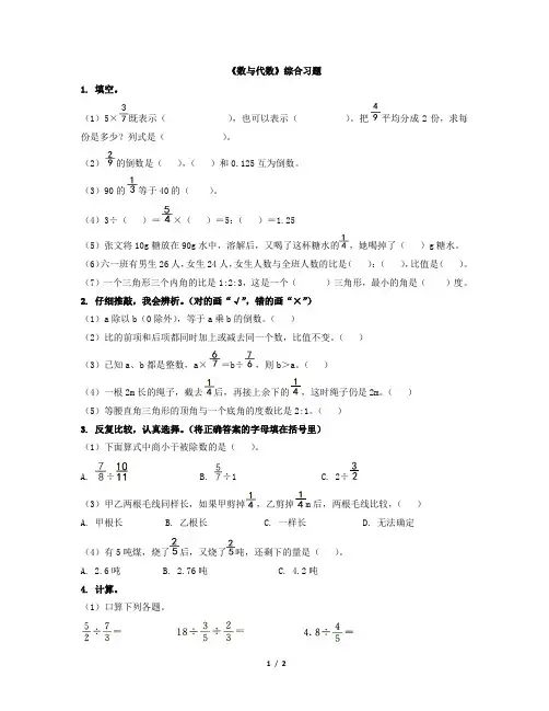 《数与代数》综合习题1
