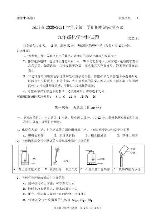 2020-2021年深圳新中考适应性考试化学卷