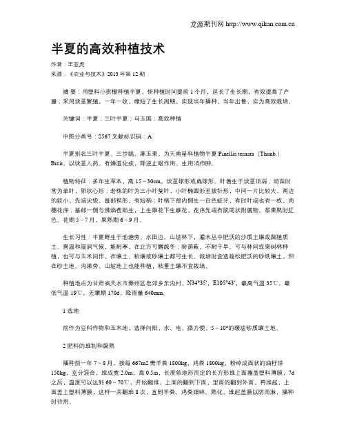 半夏的高效种植技术