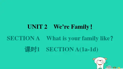 山西省2024七年级英语上册Unit2课时1sectionA(1a_1d)课件新版人教新目标版