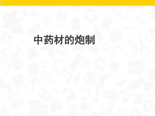 中药材的炮制  ppt课件