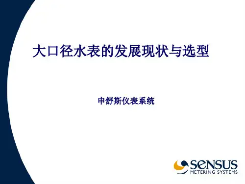 FF大口径水表的选型和使用_