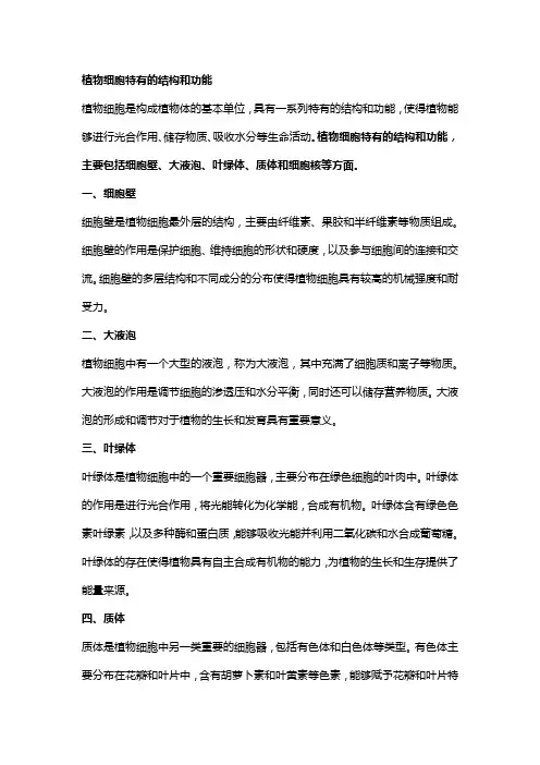 植物细胞特有的结构和功能