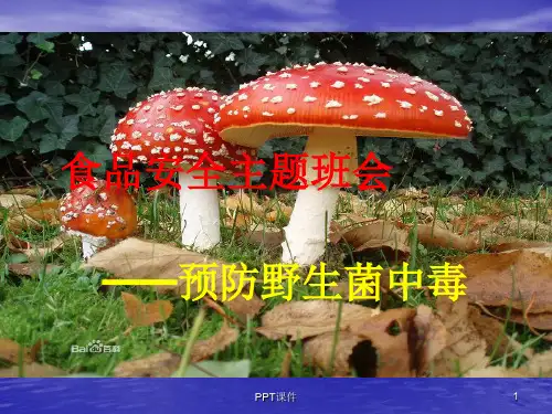 预防野生菌中毒  ppt课件