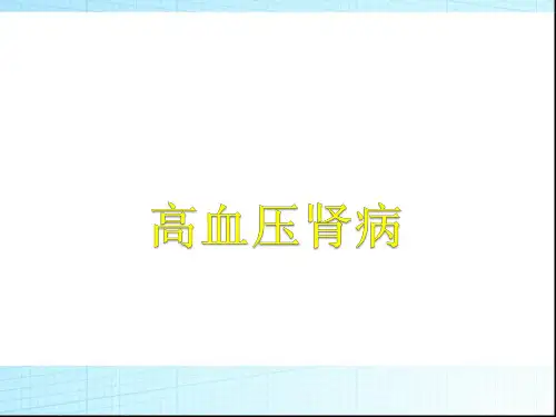 高血压肾损害  ppt课件