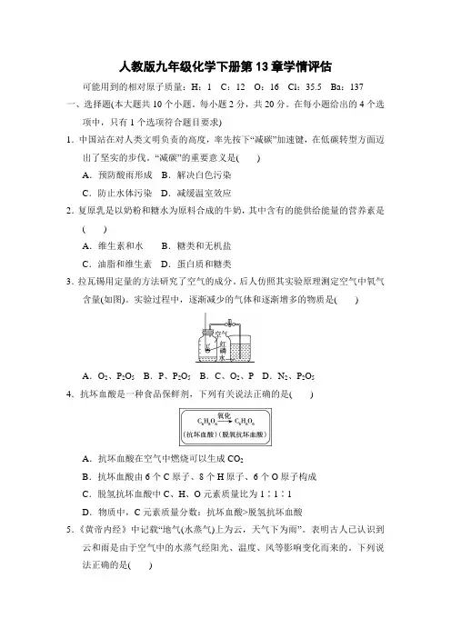 人教版九年级化学中考学情评估 附答案 (6)