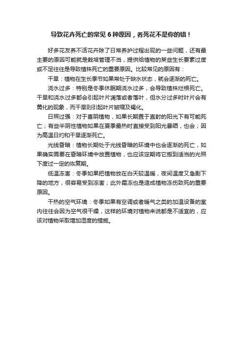 导致花卉死亡的常见6种原因，养死花不是你的错！