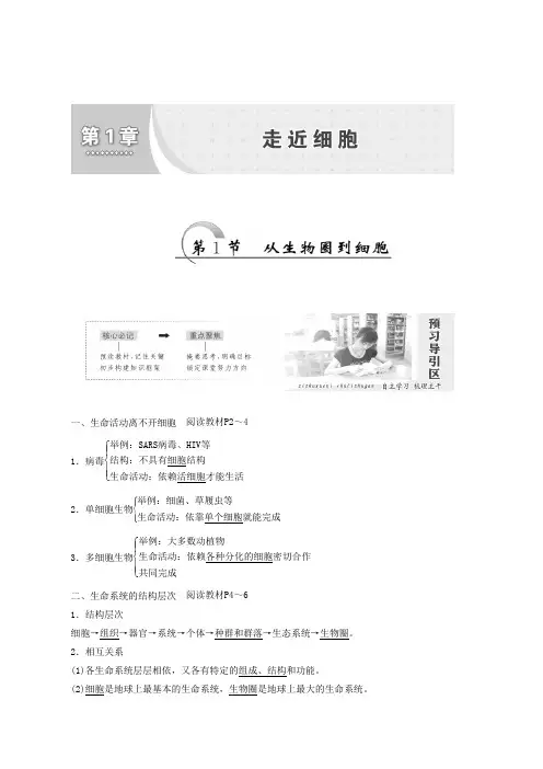 人教版生物必修一同步学案第1章第1节 从生物圈到细胞