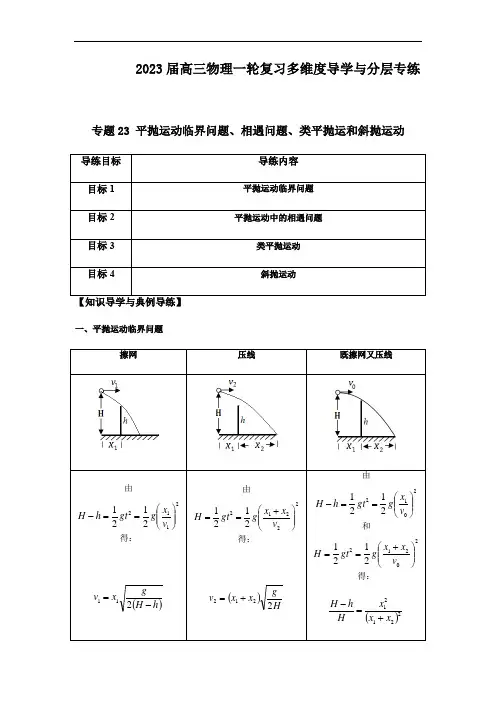 专题23 平抛运动临界问题、相遇问题、类平抛运和斜抛运动(解析版)