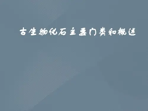 古生物化石主要门类和概述