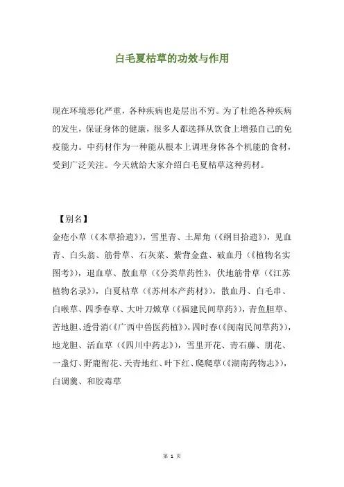 白毛夏枯草的功效与作用