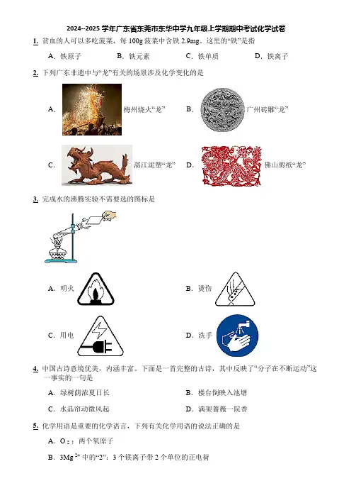 2024--2025学年广东省东莞市东华中学九年级上学期期中考试化学试卷