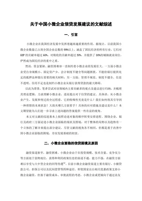 关于中国小微企业发展建议的文献综述