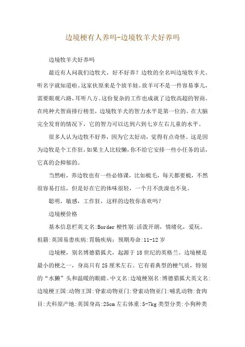 边境梗有人养吗-边境牧羊犬好养吗